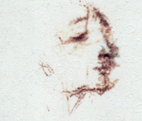 salvatore_difranco